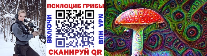 как найти наркотики  Александровск  Псилоцибиновые грибы Psilocybe 